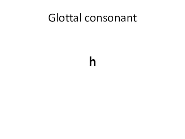 Glottal consonant h