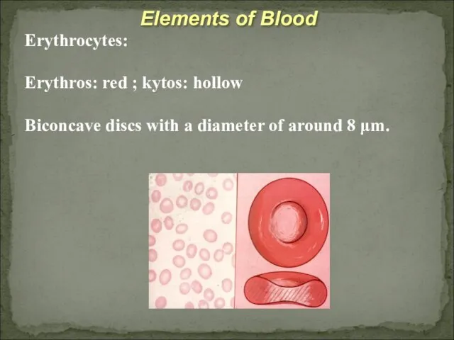 Elements of Blood Erythrocytes: Erythros: red ; kytos: hollow Biconcave discs with