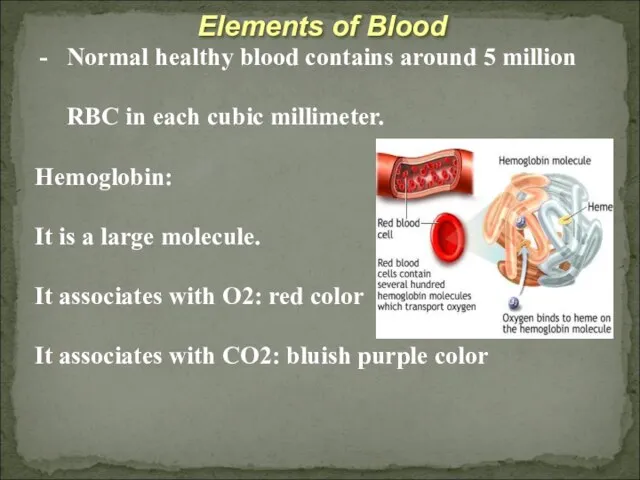 Elements of Blood Normal healthy blood contains around 5 million RBC in