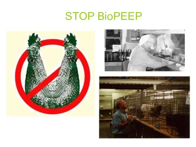 STOP BioPEEP