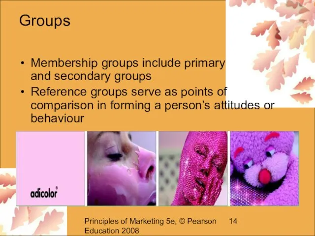 Principles of Marketing 5e, © Pearson Education 2008 Groups Membership groups include