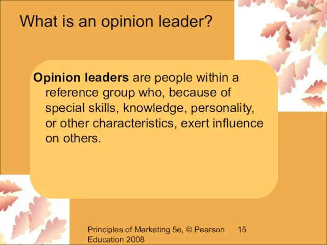 Principles of Marketing 5e, © Pearson Education 2008 What is an opinion