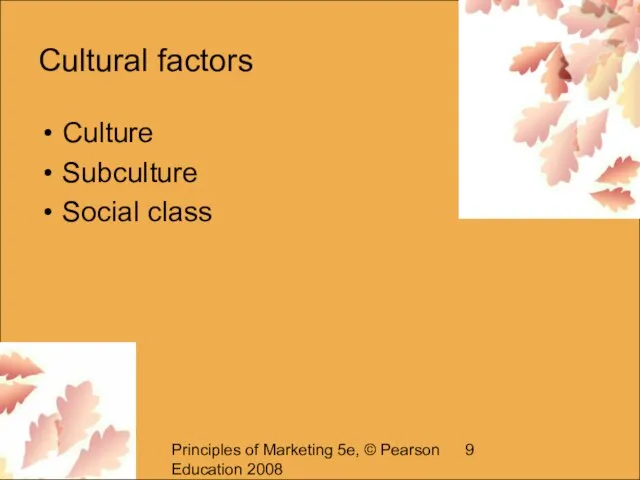 Principles of Marketing 5e, © Pearson Education 2008 Cultural factors Culture Subculture Social class