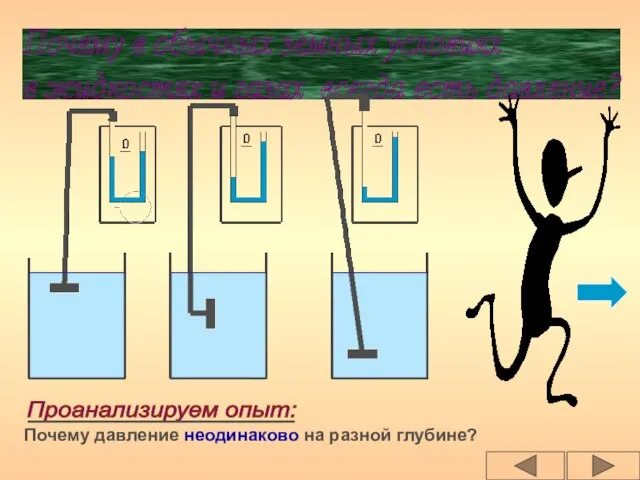 Почему в обычных земных условиях в жидкостях и газах всегда есть давление?