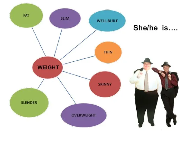 WEIGHT She/he is….