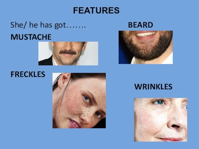 She/ he has got……. BEARD MUSTACHE FRECKLES WRINKLES FEATURES