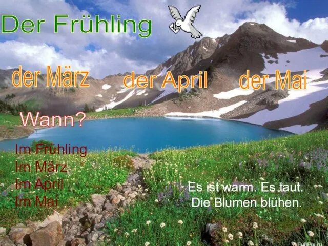 Der Frühling der März der April der Mai Im Frühling Im März