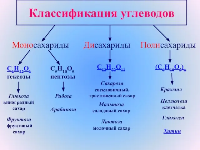 Классификация углеводов