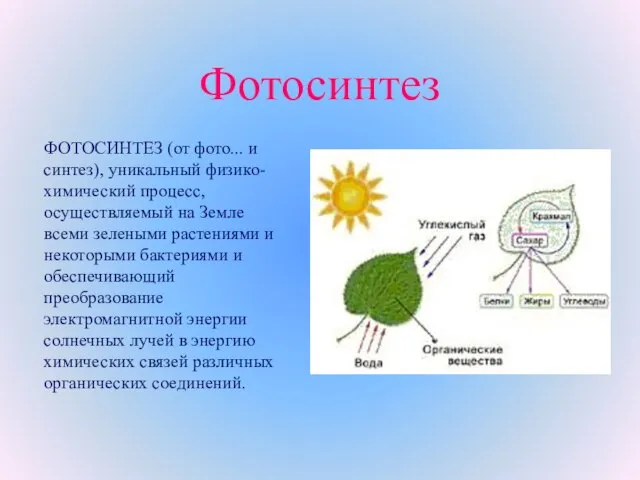 Фотосинтез ФОТОСИНТЕЗ (от фото... и синтез), уникальный физико-химический процесс, осуществляемый на Земле