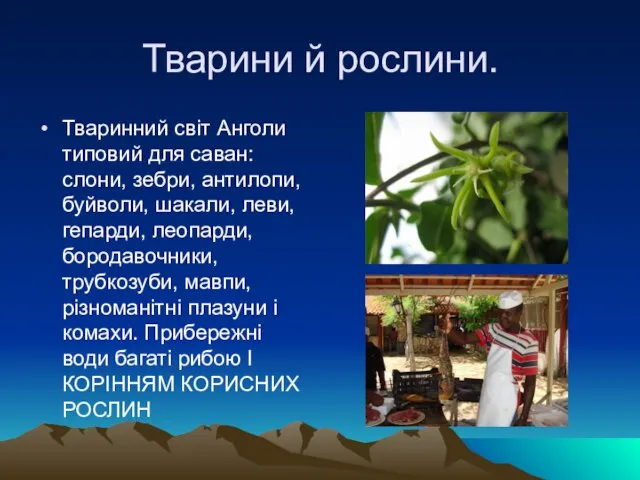 Тварини й рослини. Тваринний світ Анголи типовий для саван: слони, зебри, антилопи,