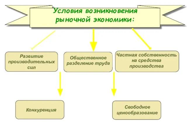 Условия возникновения рыночной экономики: Общественное разделение труда Частная собственность на средства производства