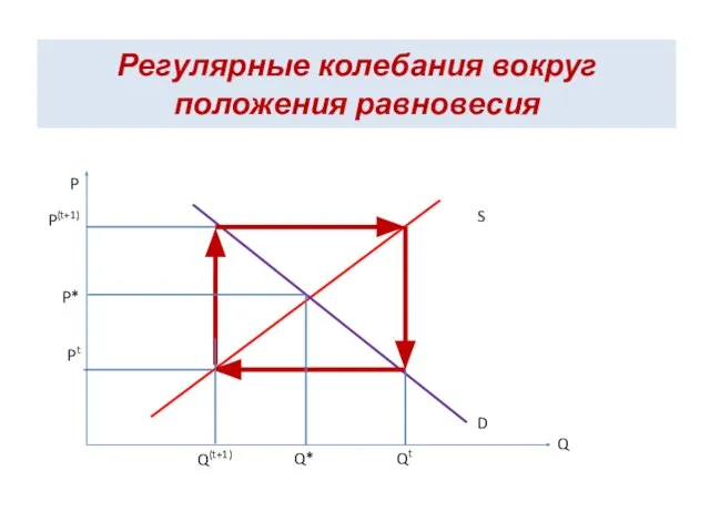 Регулярные колебания вокруг положения равновесия S D P Q P(t+1) P* Pt Q(t+1) Q* Qt