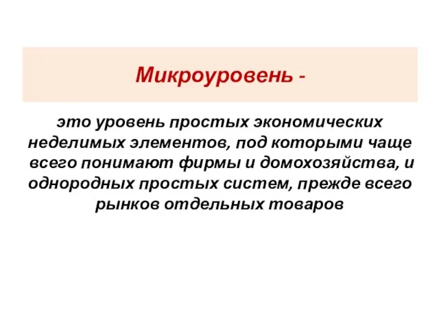 Микроуровень - это уровень простых экономических неделимых элементов, под которыми чаще всего