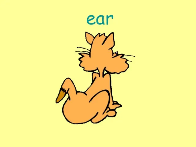 ear