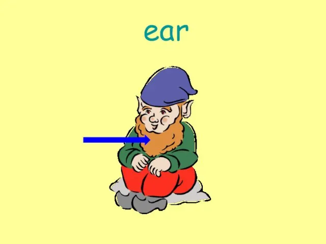 ear