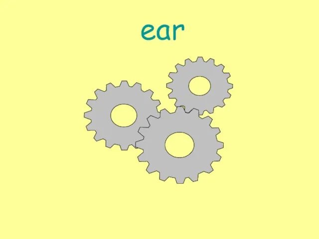 ear