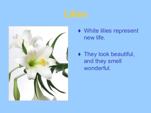 Lilies White lilies represent new life. They look beautiful, and they smell wonderful.