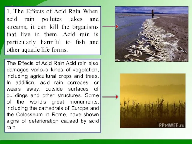 1. The Effects of Acid Rain When acid rain pollutes lakes and