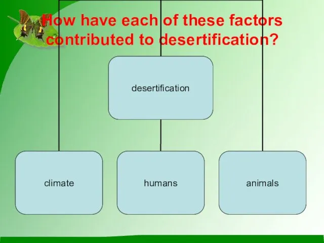 How have each of these factors contributed to desertification?