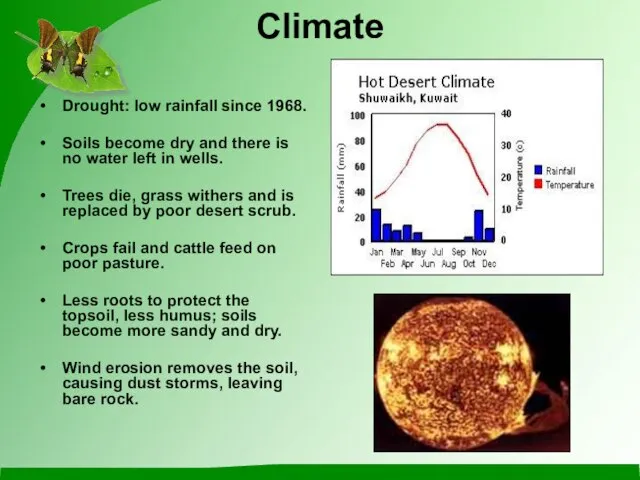 Drought: low rainfall since 1968. Soils become dry and there is no