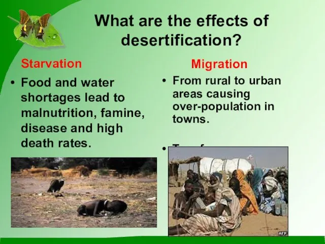 What are the effects of desertification? Food and water shortages lead to