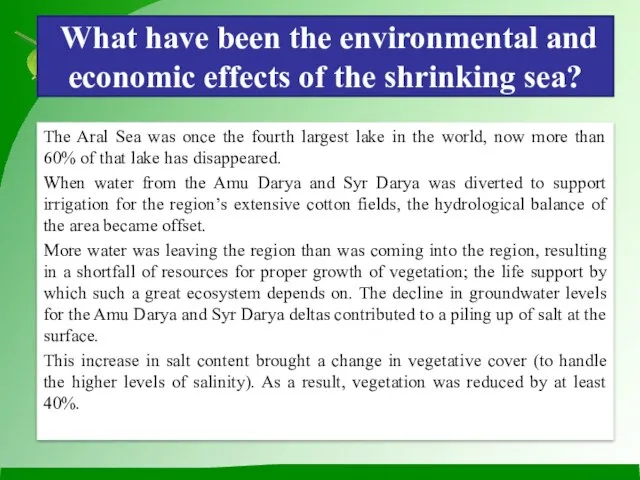 What have been the environmental and economic effects of the shrinking sea?