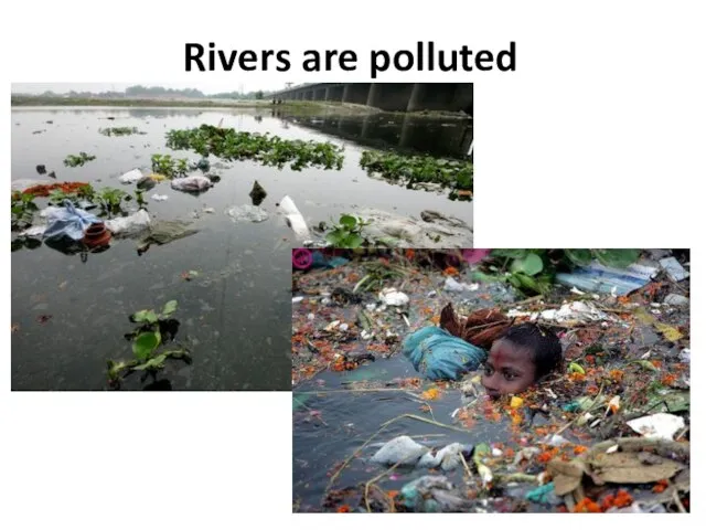 Rivers are polluted