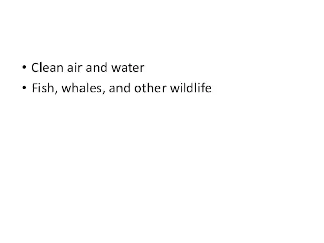 Some Important Common Resources Clean air and water Fish, whales, and other wildlife