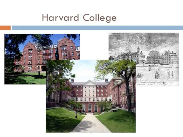 Harvard College