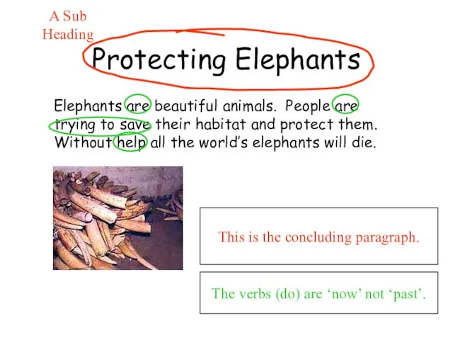 Protecting Elephants Elephants are beautiful animals. People are trying to save their