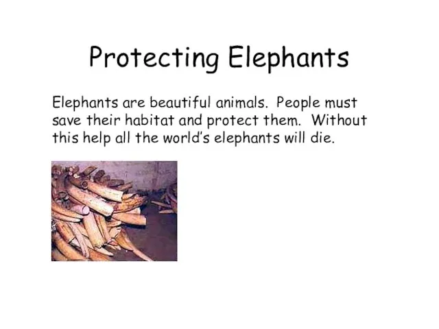 Protecting Elephants Elephants are beautiful animals. People must save their habitat and