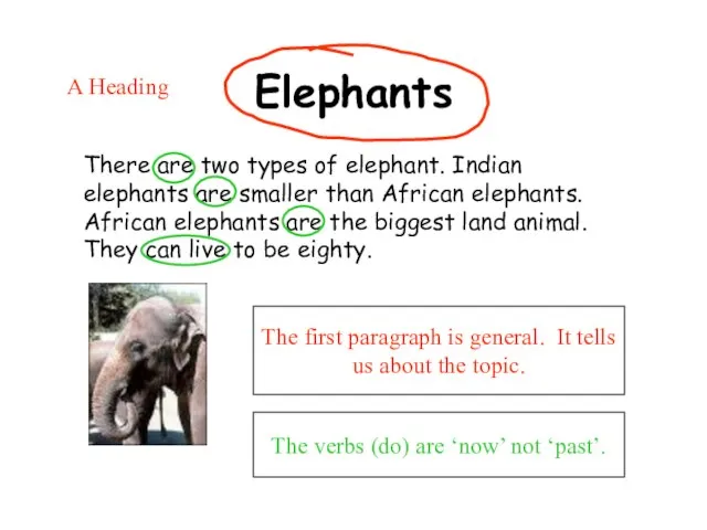 Elephants The first paragraph is general. It tells us about the topic.