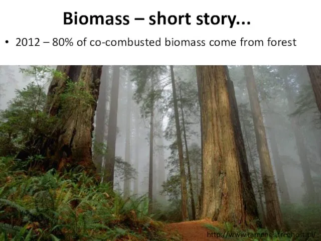 http://www.ramones.freehost.pl/ Biomass – short story... 2012 – 80% of co-combusted biomass come from forest