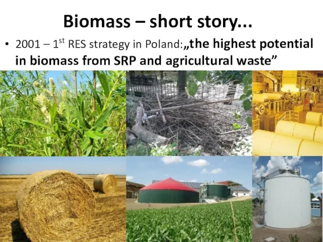 Biomass – short story... 2001 – 1st RES strategy in Poland:„the highest