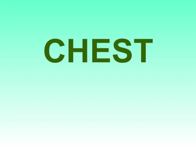 CHEST