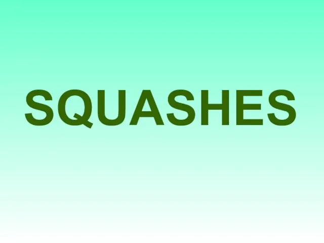 SQUASHES