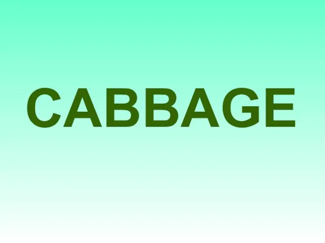 CABBAGE