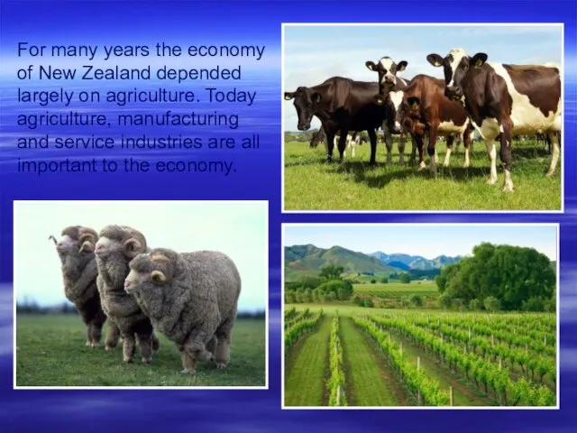 For many years the economy of New Zealand depended largely on agriculture.