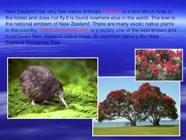 New Zealand has very few native animals. is a bird which lives