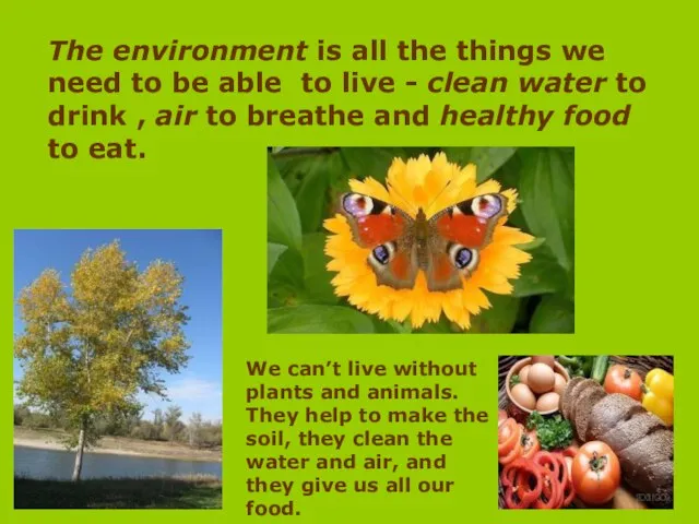 The environment is all the things we need to be able to