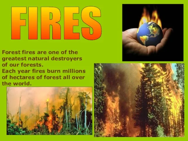 FIRES Forest fires are one of the greatest natural destroyers of our