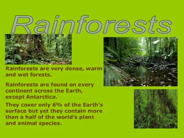 Rainforests Rainforests are very dense, warm and wet forests. Rainforests are found