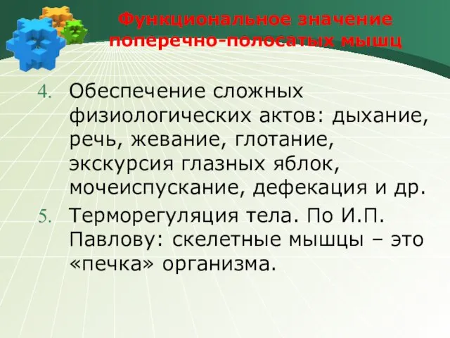 Функциональное значение поперечно-полосатых мышц Обеспечение сложных физиологических актов: дыхание, речь, жевание, глотание,