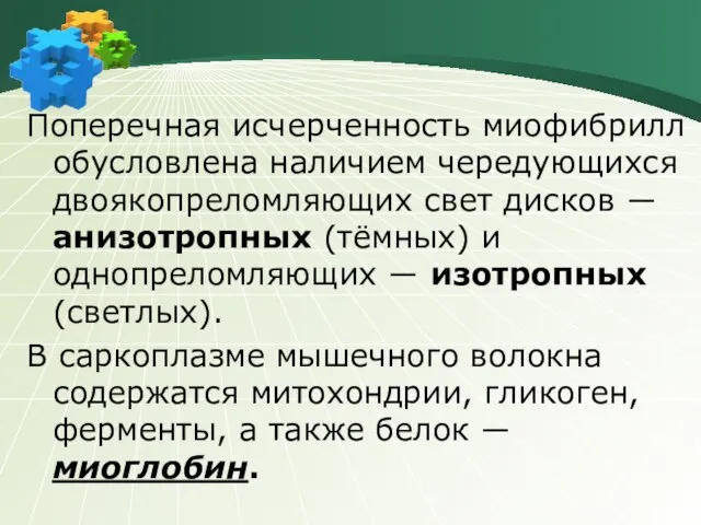 Поперечная исчерченность миофибрилл обусловлена наличием чередующихся двоякопреломляющих свет дисков ― анизотропных (тёмных)