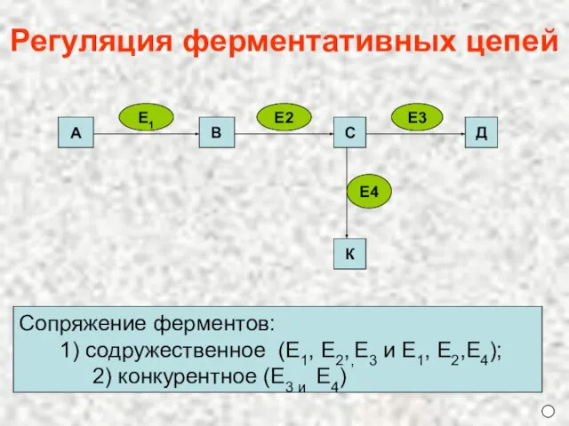 Сопряжение ферментов: 1) содружественное (Е1, Е2,,Е3 и Е1, Е2,Е4); 2) конкурентное (Е3