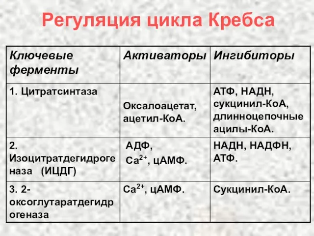 Регуляция цикла Кребса