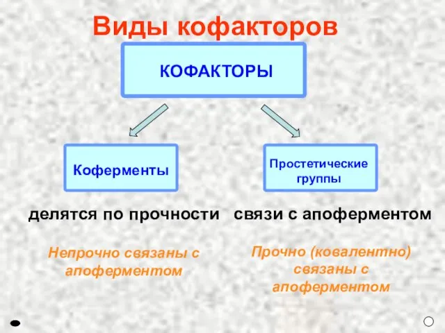 Непрочно связаны с апоферментом Прочно (ковалентно) связаны с апоферментом Виды кофакторов делятся