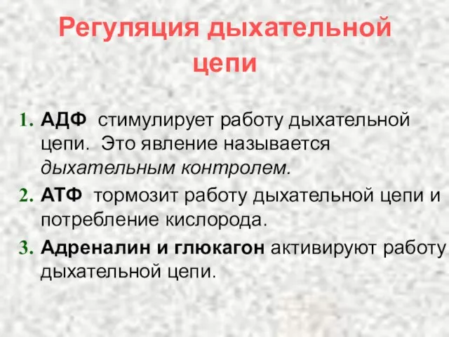 Регуляция дыхательной цепи АДФ стимулирует работу дыхательной цепи. Это явление называется дыхательным