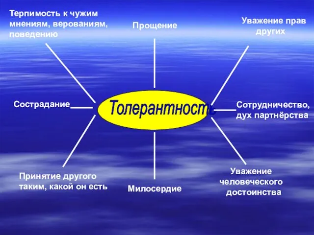 Толерантность Прощение Милосердие Уважение прав других Сотрудничество, дух партнёрства Уважение человеческого достоинства