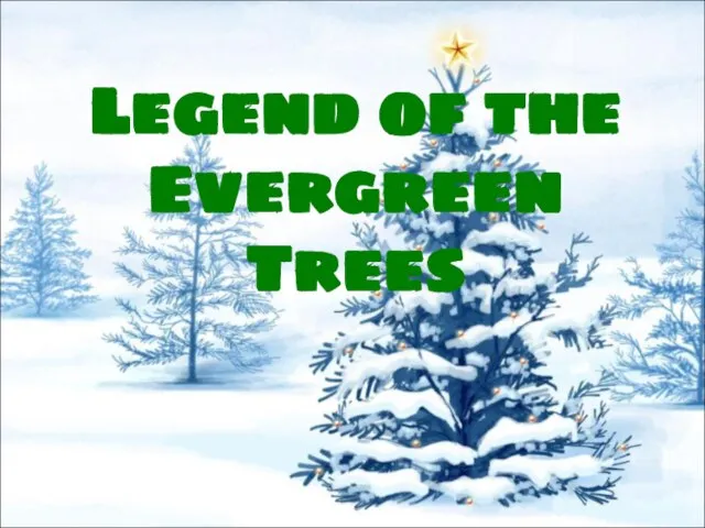 Legend of the Evergreen Trees